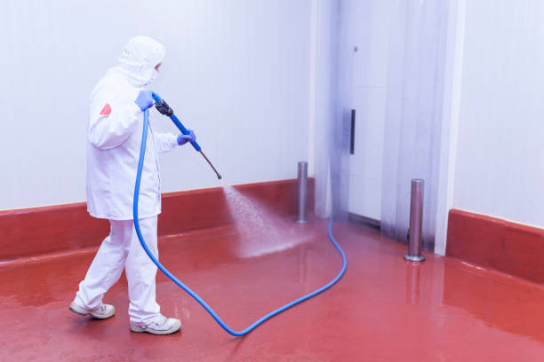 Best Paint Preparation  in Union City, OH